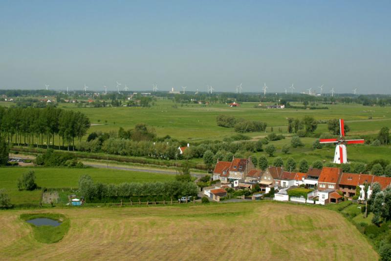 View from the tower