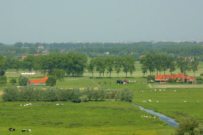 The coastline in the distance