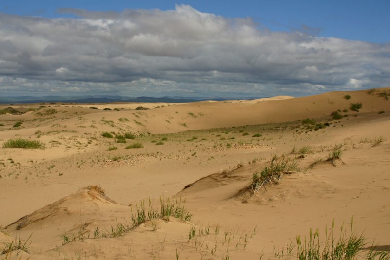 Arburd Sands