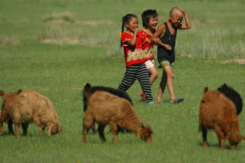 Herding the goats