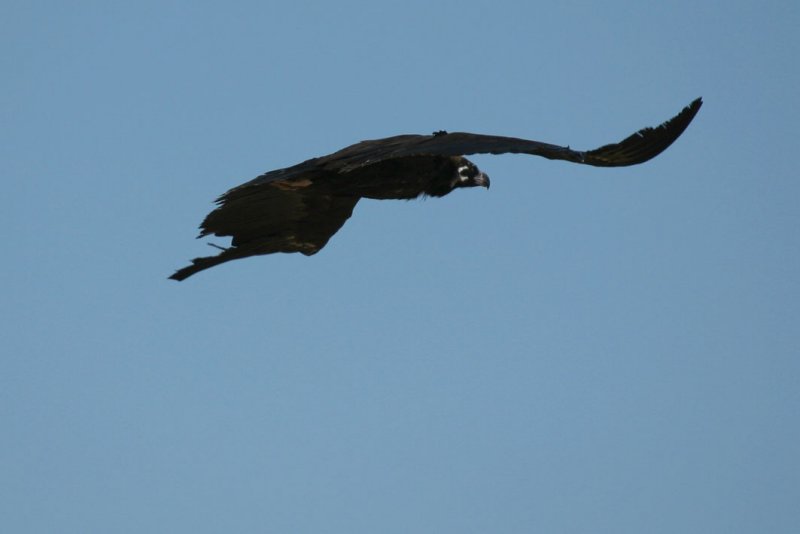 IMG_9845.JPG