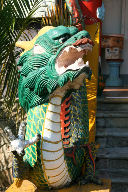 IMG_5316.JPG