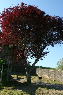 Saint-Jean-Pied-de-Port