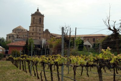 vineyard, Monasterio de Irache