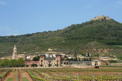 vineyard