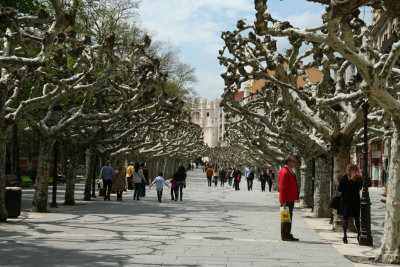 Burgos