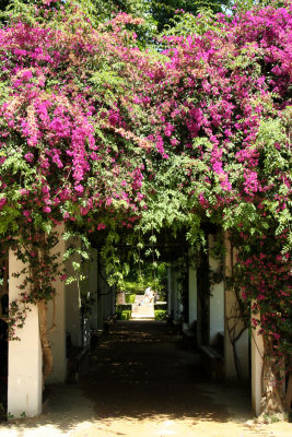 Sevilla