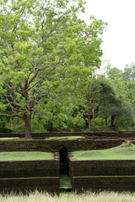 Sigiriya - Lion Rock