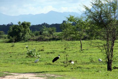Wasgomuwa National Park