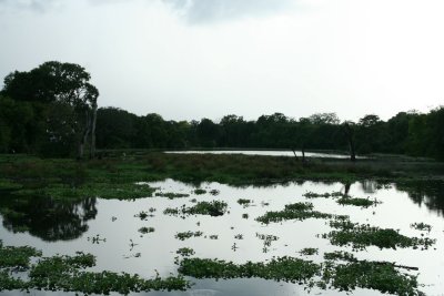 Wasgomuwa National Park