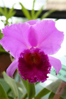 IMG_2294.JPG