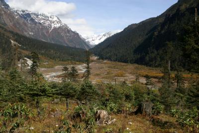 Yumtang Valley
