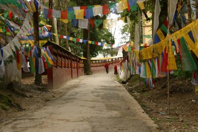 Gangtok - Enchy Monastery