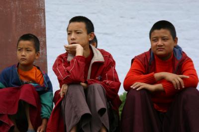 IMG_3541.JPG