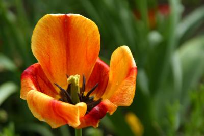 IMG_6569.JPG