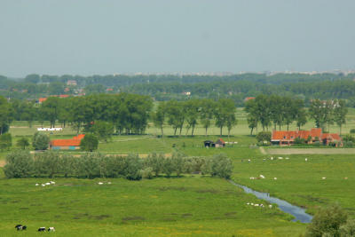 The coastline in the distance