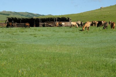 IMG_8809.JPG