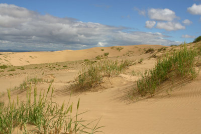 Arburd Sands