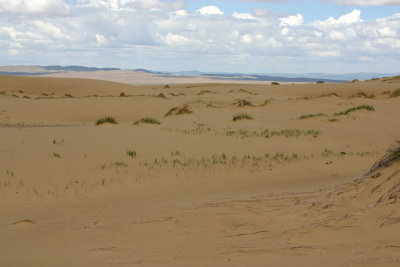 Arburd Sands
