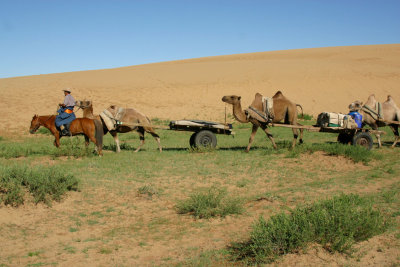 Camel Convoy