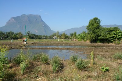 IMG_5257.JPG