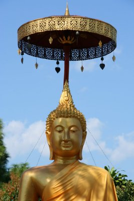 IMG_5348.JPG
