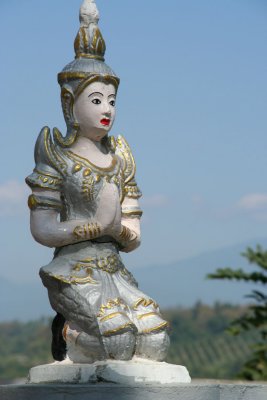 IMG_5349.JPG