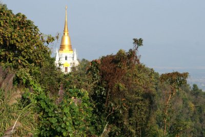 IMG_5638.JPG