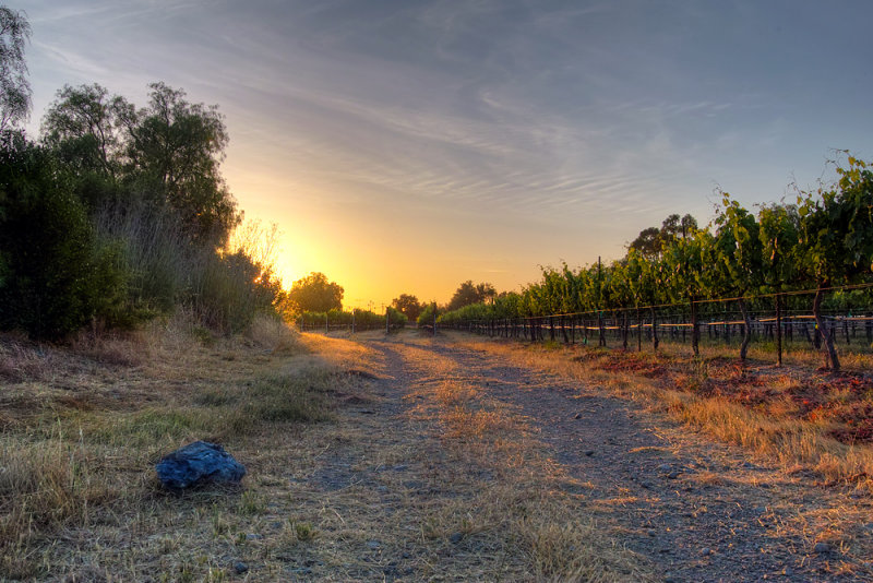 The Way Home