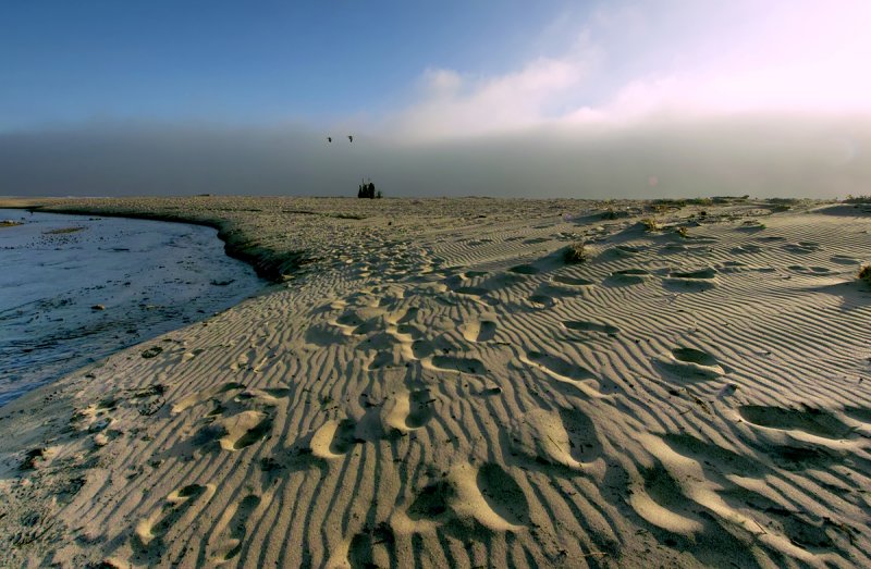Waves in the Sand