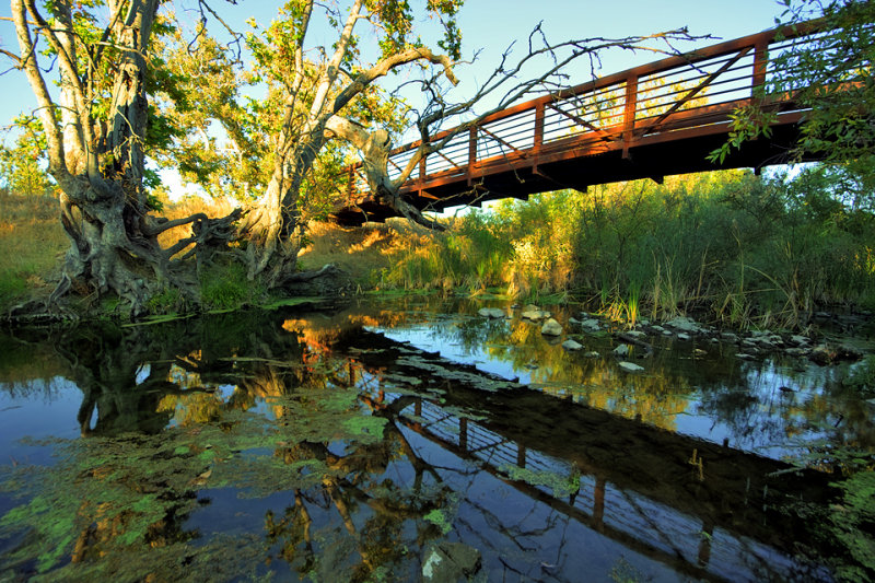 footbridge