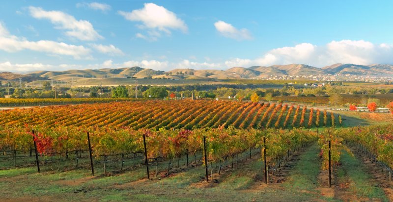 Livermore I