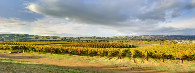 Fall Weather I