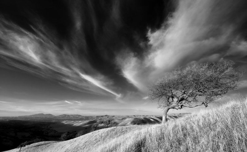 The Torment of Clouds