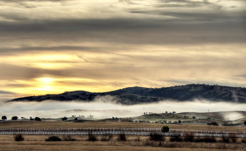 Winter Fog