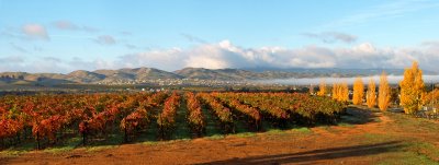 Livermore II
