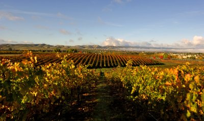 Livermore IV