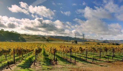 Livermore VIII