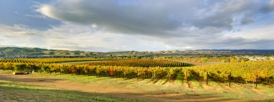 Fall Weather I