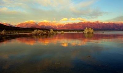 Dawn Appears III