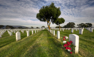 War and Rememberance II