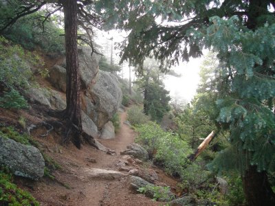 Pikes Peak, Barr Trail 07-17-06(22)