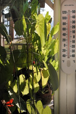 111 F