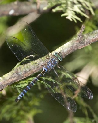 LakeDarner1R.jpg