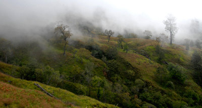  Rinjani Volcano Forest Lombok Island