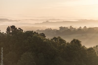 Dawn Mist in Tuscany