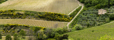 Toscana Vista
