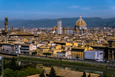 Firenze, Oracle of Arts