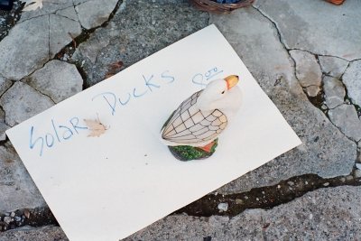 solar ducks, eight bucks