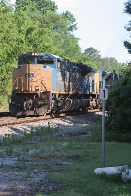 T337 at MP1.JPG